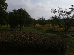 -宜兴龙背山森林公园