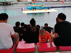 -秦皇岛乐岛海洋王国