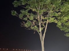-星海广场