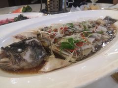 清蒸鲈鱼-紫玉轩精菜馆(东川路店)