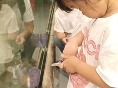 -萌宠奇缘