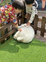 -酷嗒动物文化乐园(cutezoo西溪乐天城店)