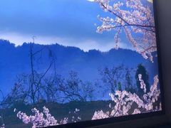 -冠州宴·海鲜烤鸭民间菜(冠县店)