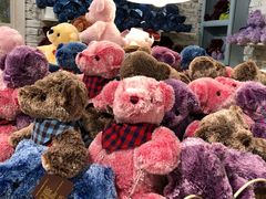 -济州岛泰迪熊博物馆