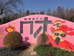 -荷兰花海