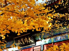 -红螺寺