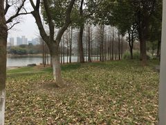 -尚贤河湿地