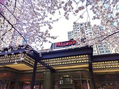 -玛格萝妮比萨屋(四平店)