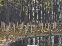 -艾溪湖湿地公园