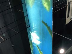 -韩礼年糕(飞虹路店)