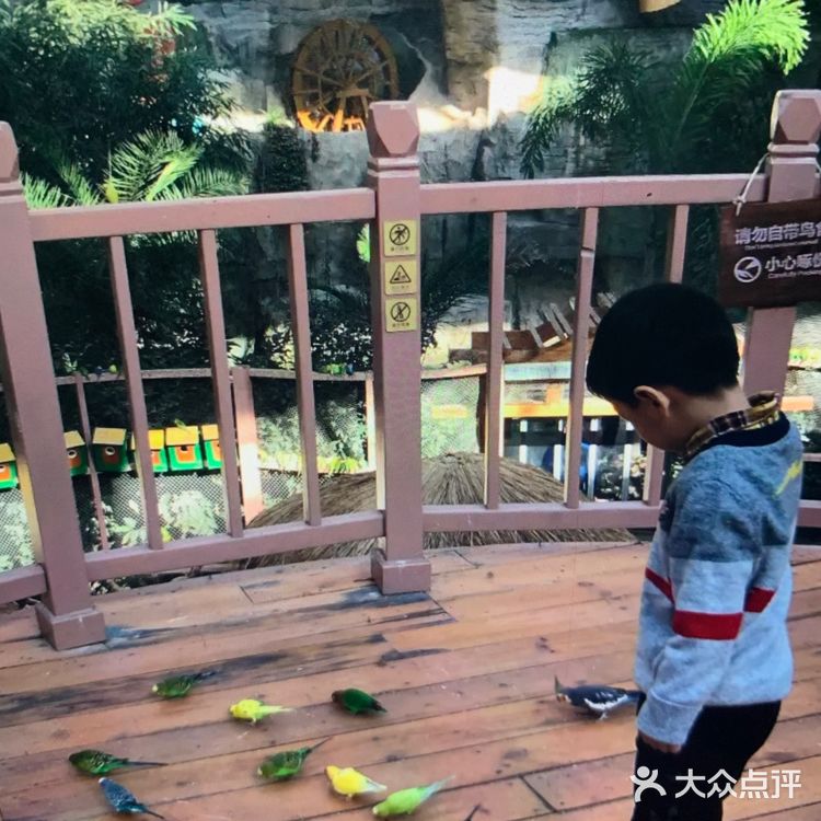 春季溜娃季