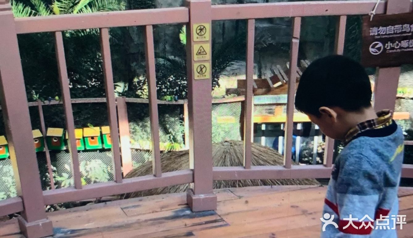 春季溜娃季