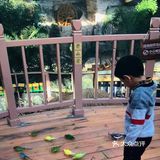 春季溜娃季