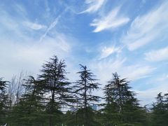-滨湖塘西河公园