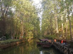 -合肥滨湖国家森林公园