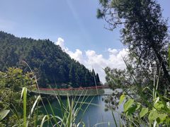 -云南屏边大围山国家公园