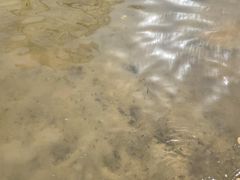 -苏州河梦清园环保主题公园