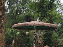 -海南热带野生动植物园