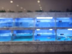 -香山湖渔家大院