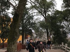 -灵岩山风景区