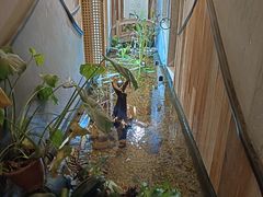 -邈墨茶馆(凤起路店)