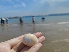 -集美鳌园景区
