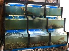 水产区-老东镇啤酒屋海鲜加工·蒸汽海鲜·海鲜烧烤(台东店)