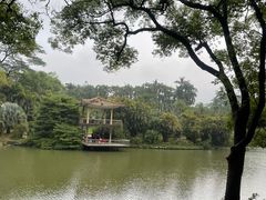 -中国科学院华南植物园