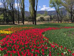 -国家植物园南园