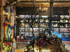 -雪灵魔法世界SHELLY’S TAROT(大良桂畔里店)