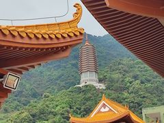 -深圳仙湖植物园