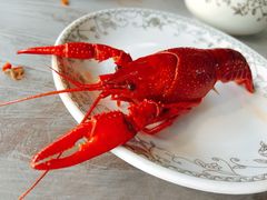 冰冰醉龙虾（限量）-冰冰龙虾·江湖菜·花园江景餐厅