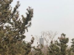 -西海子公园