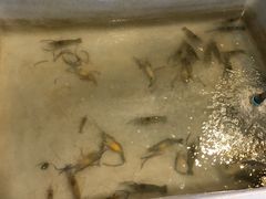 -芭提雅Amporn Seafood自助餐厅