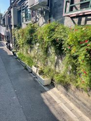 点击看大图 -壹HOME胶片摄影工作室