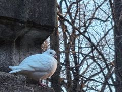-音乐台
