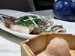 -陶陶居酒家(新天地店)