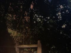-唐风温泉