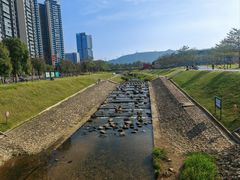-光明小镇欢乐田园