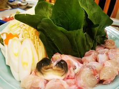 传统河鲀鱼火锅-天正河鲀·河豚亭(大连店)