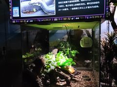 -顺德南宏海立方海洋公园