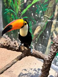 点击看大图 -Zoolung Zoolung动物主题公园(海信广场店)