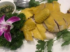 Signature steamed chicken-Imperial Kitchen & Bar 钓小宴私房菜