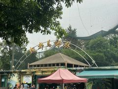 -塔子山公园