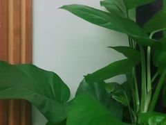 -渝信川菜(西单店)