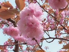 -白塘生态植物园