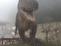 -梦幻奥陶纪景区