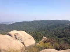 -鲁山国家森林公园