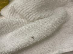 -上海漕河泾万丽酒店