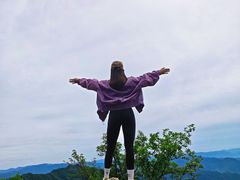 -王顺山国家森林公园